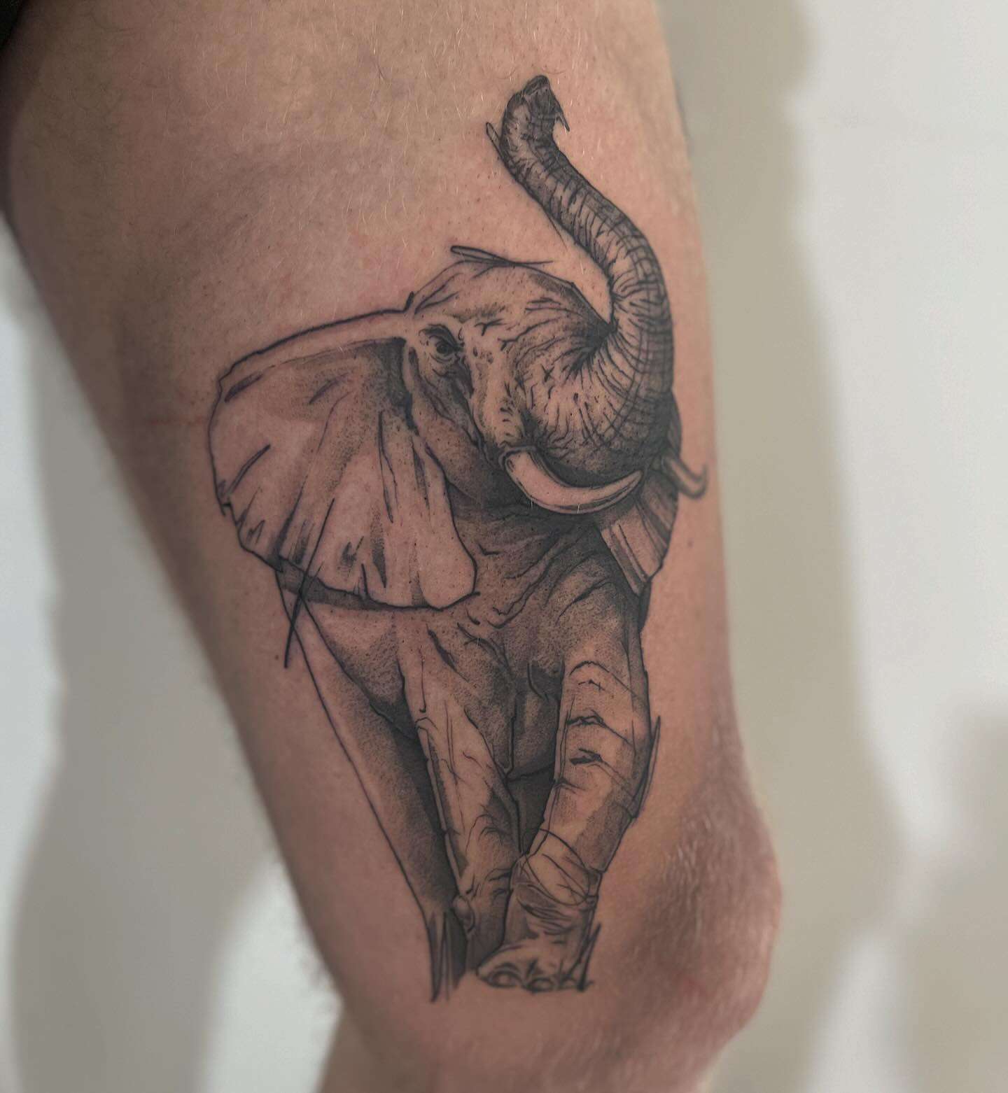 Black and Gray Sketch of an Elephant with its Trunk raised high Thigh Tattoo | selftattoo.com