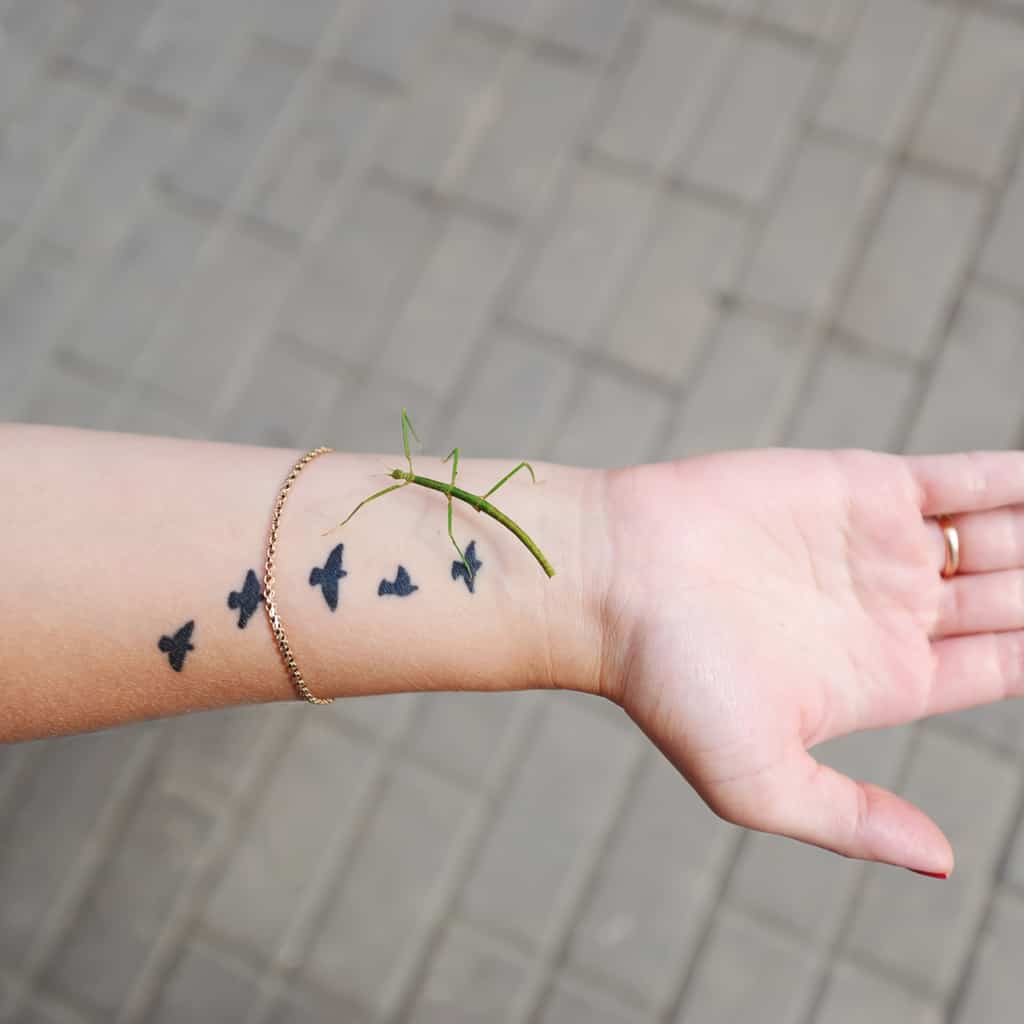 Five Small Black Silhouettes of Birds in Flight arranged in a Line Inner Forearm Tattoo | selftattoo.com