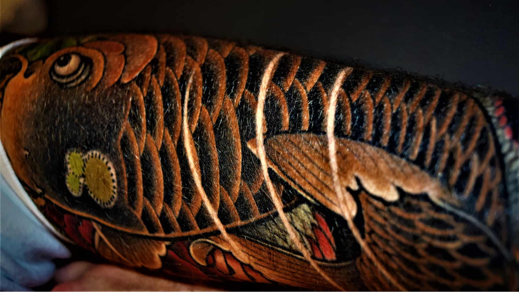 Highly Detailed and Vibrant Koi Fish Tattoo in a Rich Dark Palette with Orange Highlights | selftattoo.com