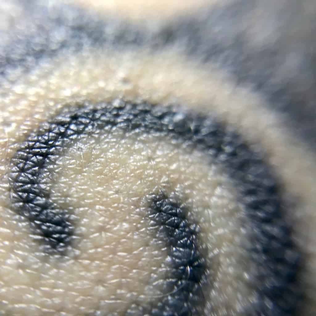 Extreme Close-Up of a Thick Black Swirl Pattern Tattoo | selftattoo.com